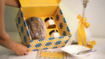 Carica e guarda il video nella galleria, Box Regalo: Natu BabbĂ  al Cioccolato Fondente + 1 Crema e 1 Confettura