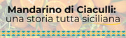 Mandarino di Ciaculli: una storia tutta siciliana!