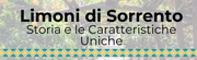 Limoni di Sorrento: perché sono unici?