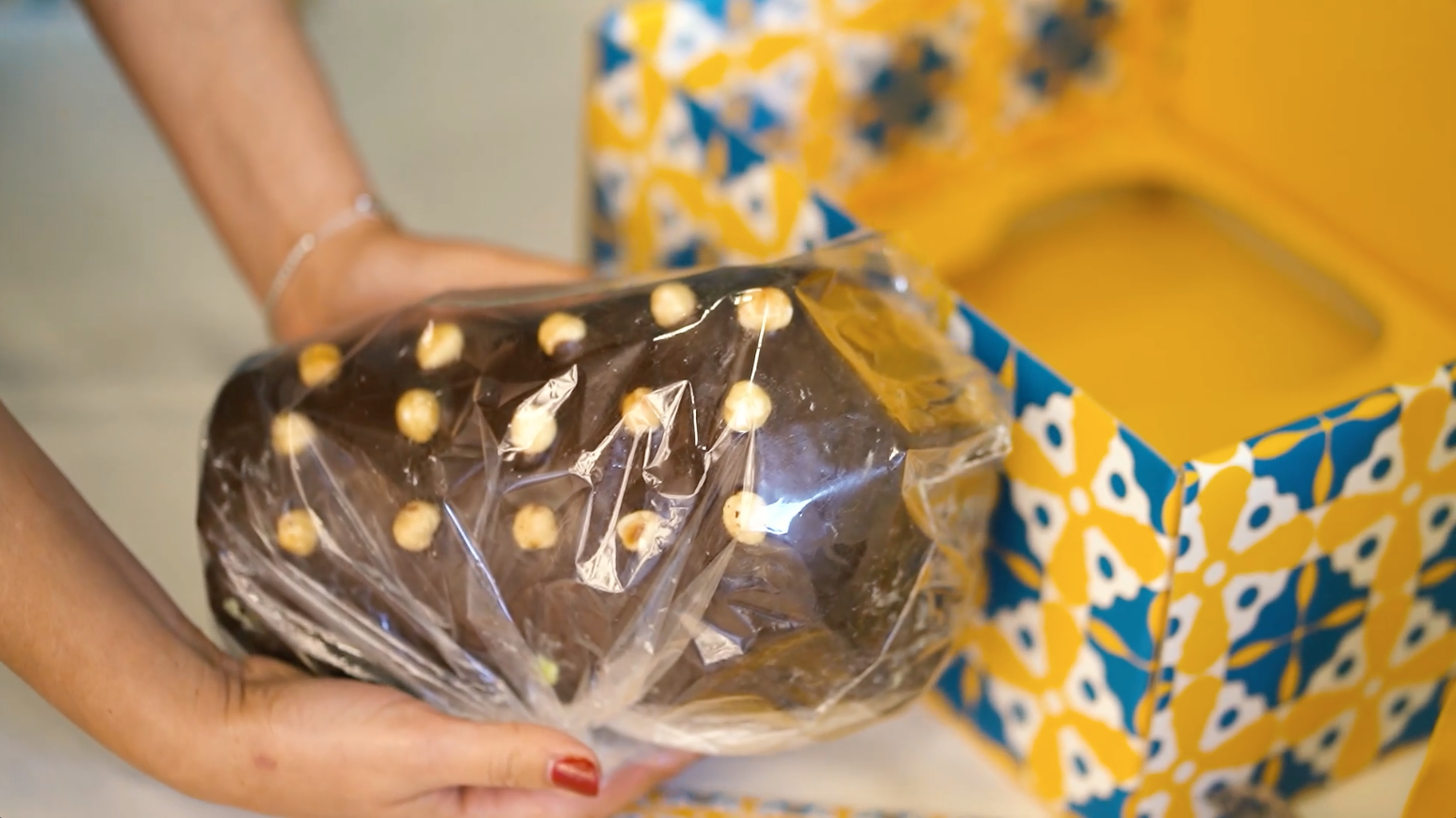 Natu Babbà coated with milk chocolate and whole hazelnuts